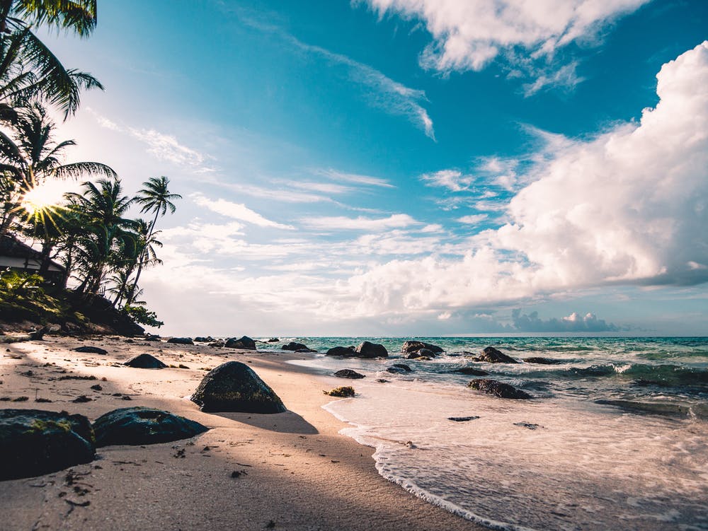 palm beach